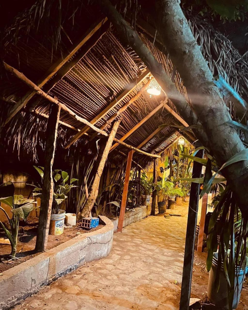 Hospedaje Ecologico Purma Wasi Tarapoto Luaran gambar